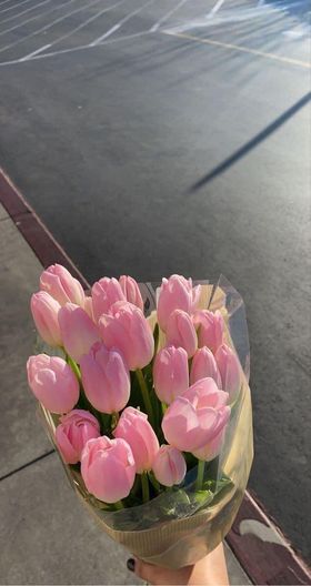 Hoa tulip màu hồng theo yêu cầu