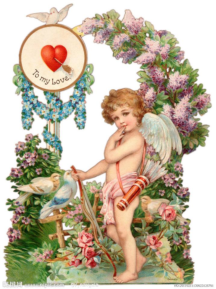 Cupid - câu chuyện hoa tình nhân