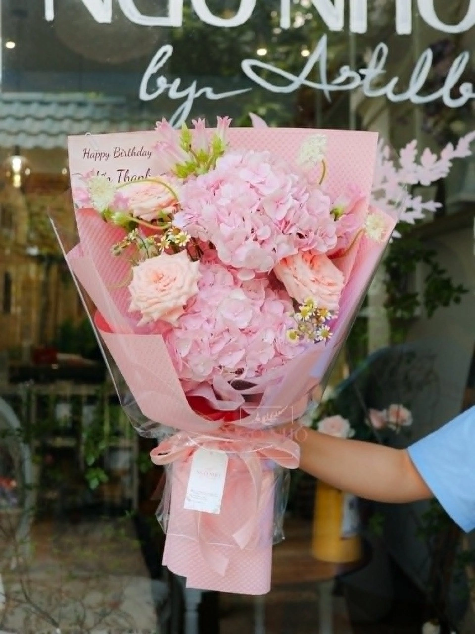 Hoa cẩm tú cầu